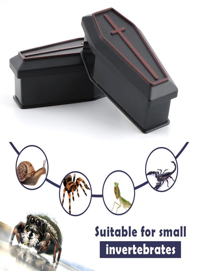 DQITJ 2 Pack Jumping Spider Coffin with Magnets Spider Enclosure Accessories Jumping Spider Hide Tarantula Terrarium Decoration - Image 4